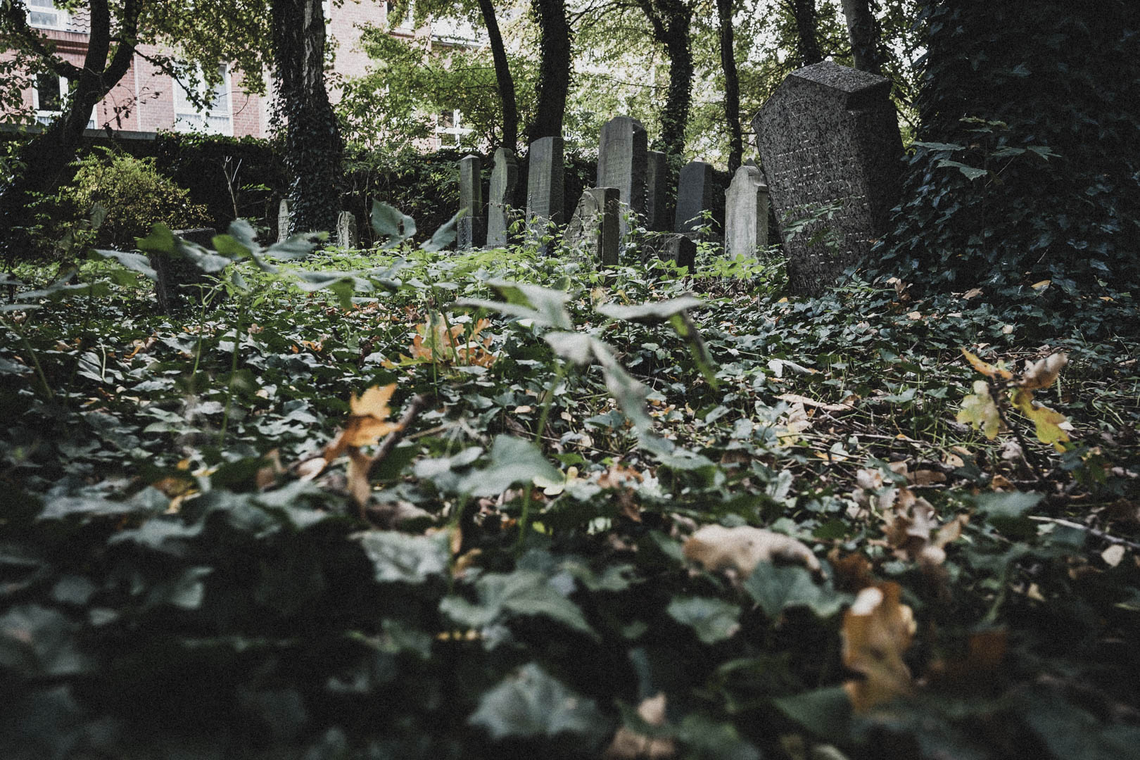 Emden, Jüdischer Friedhof